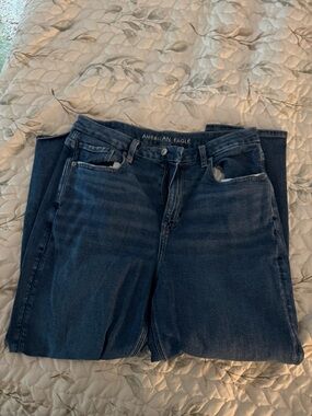 American Eagle Outfitters Curvy Mom Jeans